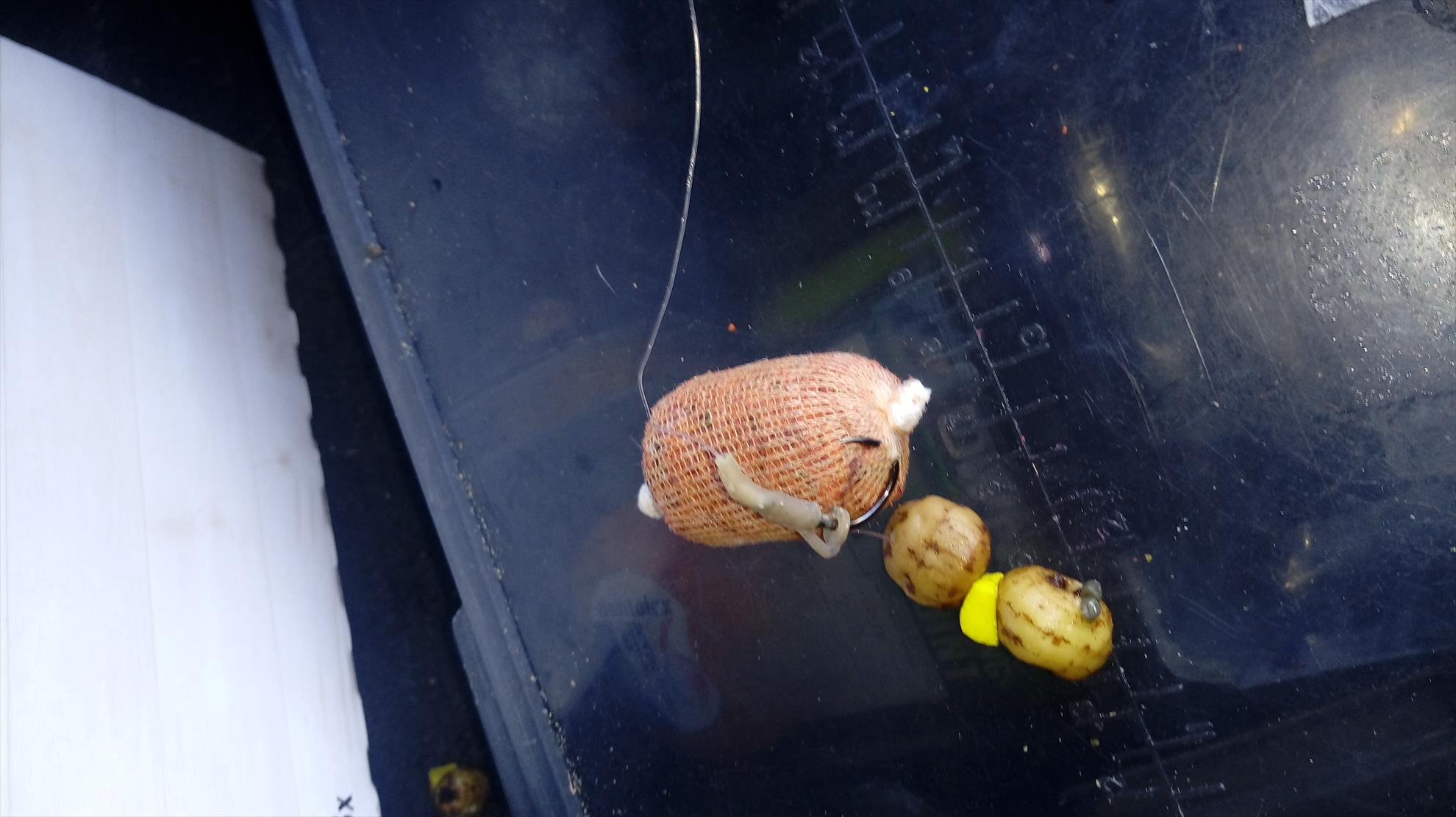 ISOLA DEL PESCATORE 22 - 23 octombrie 2018 - 20181023085650.jpg